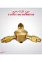 محول غاز ثلاثي النحاس DLC-38510 - 3