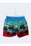 Boy's Beachwear Swim Shorts Palm Print Buy 1 Size Large - 3