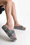 Elyenshia Women's Slippers 001215   Black - 6