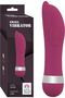SMALL VİBRATOR