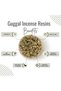 Guggal Resin | Commiphora Wightii - Bottle of 100 gram / 3.5 Oz - 3