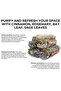 White Sage with Spice Smudge Stick - Pack of 3 stick - 5