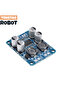 32Pin Chip Original TPA3118 60W DC 12V-24V Mono Digital Audio Power Amplifier Board Amp Module - 4