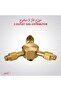 محول أسطوانة الغاز الثلاثية DLC-38510 - 2