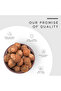 Soap Nuts (Reetha / Ritha) – Sapindus mukorossi - 100 g (3.5 Oz) - 5