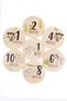 Safari Wooden Baby Memory Discs English Photo Shoot Cards - 4