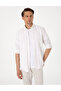 Pink Regular Fit Long Sleeve Shirt 50301561-Vr186