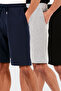 Cotton Regular Fit Normal Waist Pocket 3 Pack Shorts Men's Shorts 5908042S3