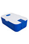 Blue Lunch Box