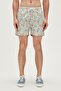 23.01.09.006-c04 Parrot Men's Swim Shorts
