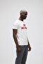 19.01.07.002-c117 Tee Men's T-shirt