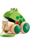 - Frog Pull Along