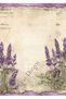 Kuromi54 - 20 Pieces of Lilac Flowers Patterned A4 Illustrated Cute Event Letter - 4