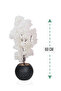 Round plastic pot rose tree
