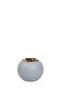 Areca tree (7 branches) in a round plastic container - 3