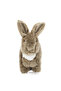Chew-It! Little Rabbit 35 cm Dog Toy (with Sound)