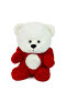 70 cm Hooded Cute Sleepy Plush Teddy Bear Panda - 4
