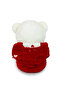 70 cm Hooded Cute Sleepy Plush Teddy Bear Panda - 6