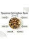 Opoponax Resin | Commiphora - Bottle of 100 gram / 3.5 Oz - 3