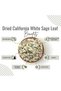 Sage Leaves – Maramiyah / Common Sage | Salvia officinalis - 100 g (3.5 Oz) - 3