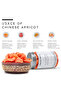 Chinese Apricot Fruit - Bottle of 100 gram / 3.5 Oz - 3