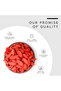 Dried Wolfberry | Premium Quality Goji Berries - Bottle of 100 gram / 3.5 Oz - 5