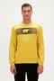 19.02.12.007-c119 Fancy Men's Sweatshirt