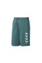 Regular Fit Green Men's Shorts 931152 -1016 Hmlkens Shorts m