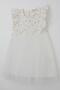 Baby Girl Dress Heart Patterned Tulle Ruffled 9 Months-3 Years, Ecru - 3