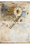 Vintage Retro Floral Pattern Horizontal A4 Letter Paper 10Pcs Illustrated A4 - 3