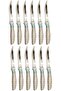 Stainless Steel Fruit Knife, Decorative Handle Design, 12-piece Set,bb3771