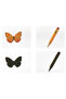 المجموعات الضمنية - الشكل وظله - 5