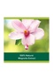 Aroma Sensations Feel The Glow Shower Gel 500 ml + 250 ml - 8