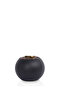 Areca tree (7 branches) in a round plastic container - 3