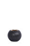 Areca tree (7 branches) in a round plastic container - 3
