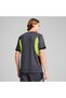 Individualliga Men's Gray T-Shirt - 2