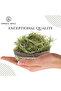 Dill Leaf – Dill Weed / Suva | Anethum graveolens - 100 g (3.5 Oz) - 5