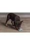 Puppy Toy, Teeth Scratching, Rubber, Green, 9.5X5.5X2Cm - 4