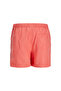 Men's Brand Logo Quick Drying Polyster Shorts Suitable for Beach and Sea Use 12253118-44416 - 4