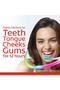 Fluoride Toothpaste Pro-gum Health 75 ml Strengthens Gums, Fights Plaque & Cavity Protection - 7