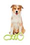 Dog Toy, Light Green - 2