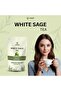 White Sage Tea 100 gram Pack 50-60 Cups easy green tea fresh and refreshing - 2