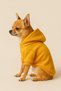 Hooded Dog Sweat – Small Breed Clothing Yellow - 3