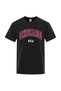 Chicago Usa City Street Letter Men's T-Shirt - Casual Basic Cotton Tops, Mesh Fabric