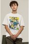 Dc Comics Batman and Robin Printed T-Shirt, Men-Women DC Comics Movie Themed T-Shirt - 3