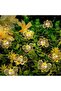 2M20LED Warm White 1Pack Bee Lights Battery Operated Bee String Lights For Bedroom Plants Patios Par - 2