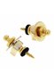 Strap Locks Harley Benton Security Locks GD