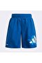 X Disney Lilo Stitch Children's Blue Swimsuit Shorts (Jf8441)