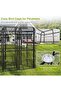 Aviary Large Walk-in Bird Cage - Durable Pet House Birdcage (Black) - 9