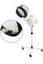 Hair Steamer with Stand 2/1 - 2